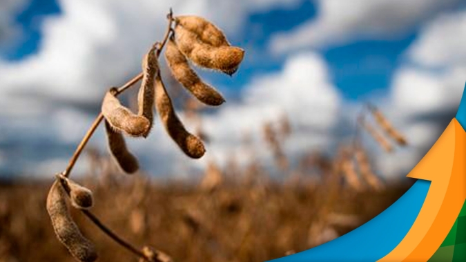 USDA: soja exagera nas altas ao olhar apenas para produção, mas devolve ganhos ao reconhecer que relatório fez ajustes mas não mexeu no estoque final dos EUA