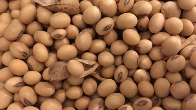 USDA reporta venda de 132 mil t de soja para a China e mais 133 mil t para destinos não revelados