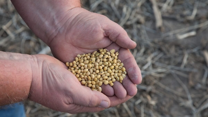 Soja dá sequência às altas em Chicago nesta 5ª feira, entre guerra comercial e novo USDA