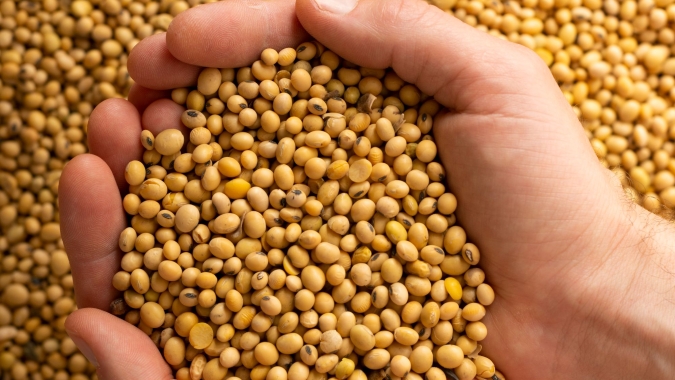 Labcerrado promove produção sustentável de grãos em áreas degradadas do Cerrado e aumenta produtividade em 83%