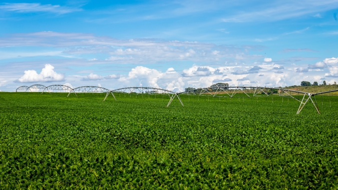 Área plantada com soja em Rondônia deve ultrapassar os 700 mil hectares na safra 2025/2026