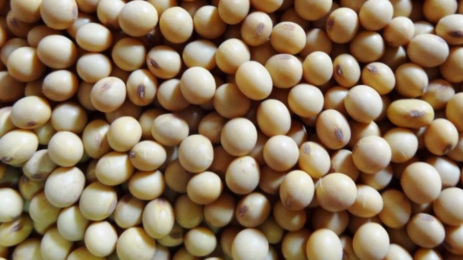 Datagro aponta que vendas de soja 20/21 do Brasil avançam pouco após piora dos preços