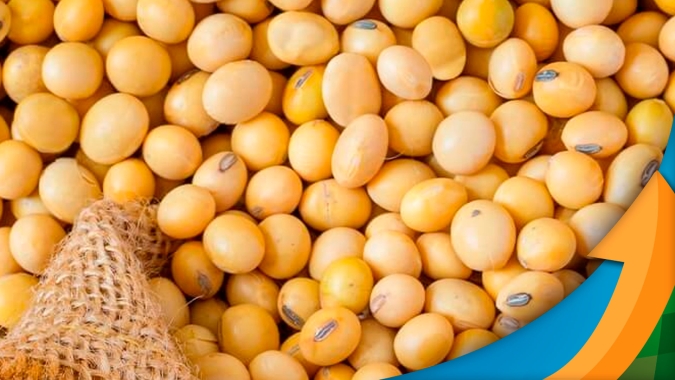Apesar da alta pontual em Chicago, mercado da soja mantém viés de baixa para os preços