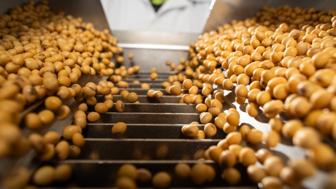 Safra 2025/26: plantio de soja avança no Brasil e Mato Grosso chega a 21%, com novas demandas nutricionais