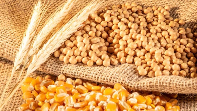 USDA: Vendas semanais de soja, milho e trigo dos EUA ficam dentro das expectativas do mercado