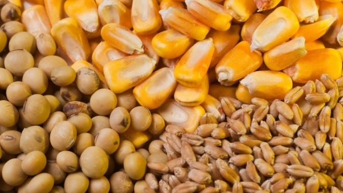 USDA: Vendas semanais de soja e milho 22/23 dos EUA vêm dentro das expectativas; trigo surpreende