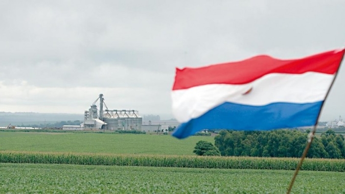 Soja: Paraguai se torna principal fornecedor do Brasil com combinação de fatores logísticos e de comportamento dos produtores