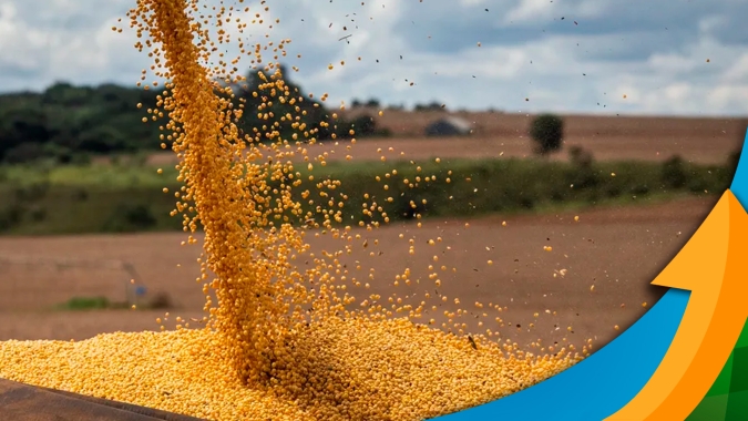 Após começo de safra muito conturbado, Bahia espera, pelo menos, 10% menos de produtividade na soja