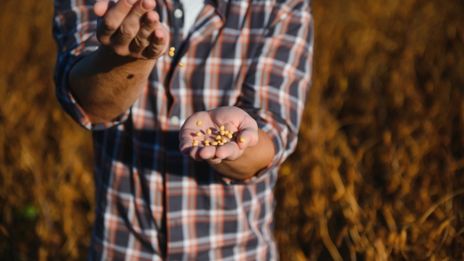 Hedgepoint atualiza cenário do mercado de grãos com início da nova gestão Trump
