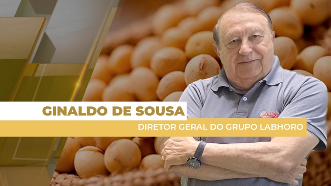 USDA reduz área e estoque de soja dos EUA, preços respondem disparando em Chicago nesta terça-feira