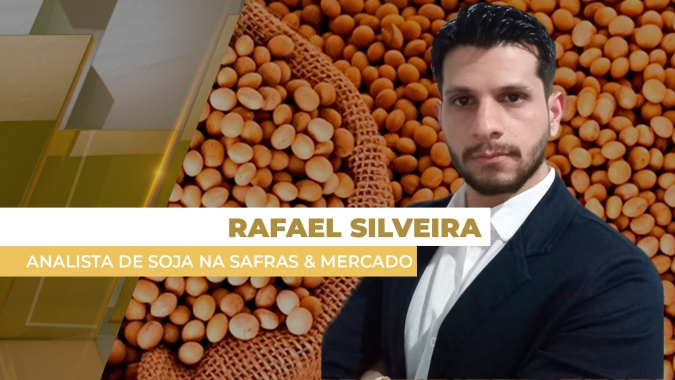 USDA sinaliza área menor de soja nos EUA, mas acima do esperado para safra 25/26 e Chicago fecha estável nesta 5ª feira