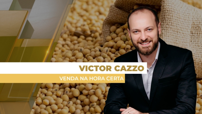 Soja segue dando oportunidades de negócios no Brasil, combinando prêmios ainda fortes e dólar alto