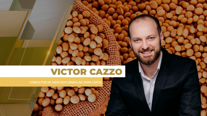 Politizado, mercado da soja fecha com mais de 1% de baixa na Bolsa de Chicago nesta 6ª feira