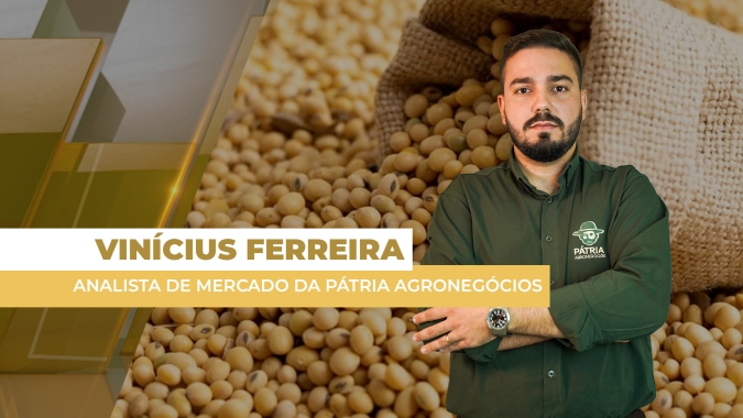 Aumento na demanda por biodiesel nos EUA puxa óleo e cotações da soja se valorizam em Chicago