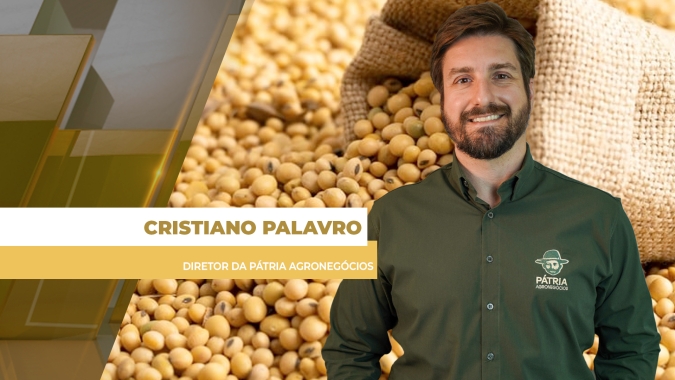 Preços da soja acumulam até R$ 5/sc de queda no Brasil com baixas fortes em Chicago e dólar fraco