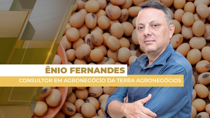 Soja realiza lucro nesta segunda-feira em Chicago, após valorizações ao longo de agosto