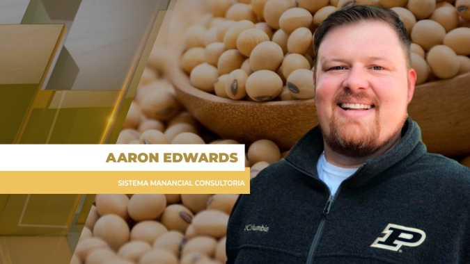 Soja fecha em queda nesta 2ª feira em Chicago, mas mercado tem espaço para recuperação nas próximas semanas