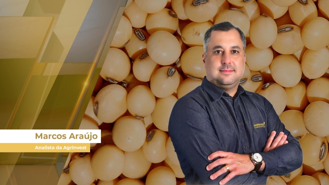 Soja 24/25 garante boa margem ao produtor brasileiro, apesar de pressão ainda consistente em Chicago