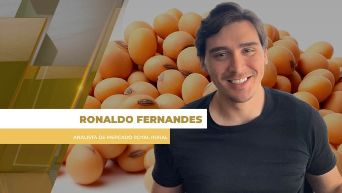 'Efeito Argentina', câmbio e prêmios conferem semana negativa ao mercado da soja no Brasil