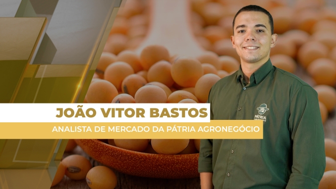 Mercado brasileiro da soja está de olho no dólar, após tarifas de Trump ao Brasil; Chicago fecha em alta