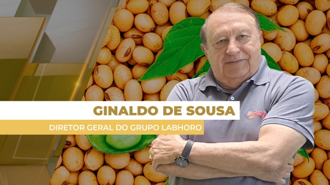 Soja sobe quase 2% em Chicago entre relatório altista do USDA e acordo China-EUA; preços sobem também no BR