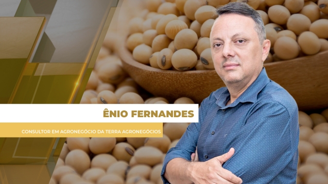 Soja despenca 14 pontos em Chicago após Argentina zerar retenciones para exportações