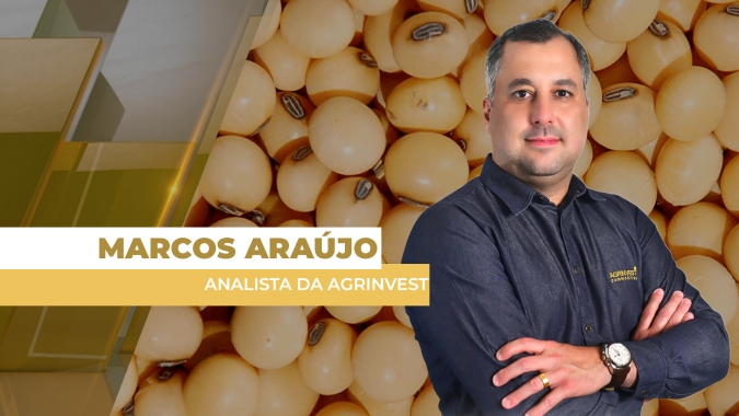 Altas sazonais da soja já ficaram para trás e novos negócios pelo produtor brasileiro precisam de estratégia