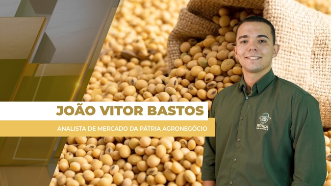 Soja se consolida nos US$12 / bushel em Chicago, mas ganhos não chegam ao produtor brasileiro
