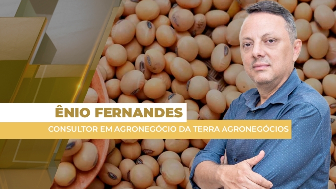 Soja tem início de semana com prêmios fortes e alta do dólar compensando baixas em Chicago, mas poucos negócios