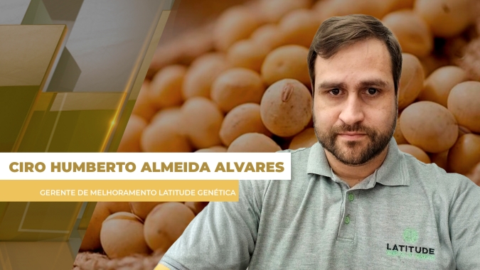 Avanço dos programas de melhoramento genético vem contribuindo para aumentar a produtividade da soja no Brasil