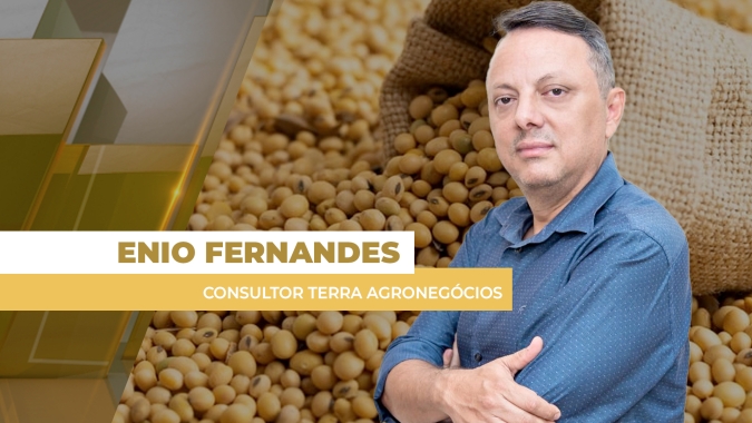 Soja inverte o sinal e fecha 3ª feira no vermelho em Chicago realizando lucros e sentindo proximidade da nova safra do BR