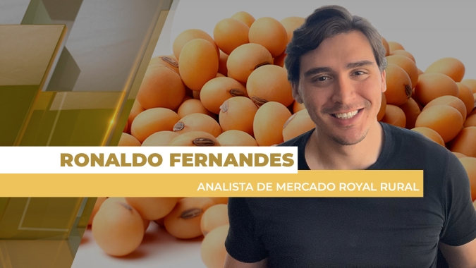 Falta de acordo EUA-China derruba soja em Chicago, mas volta a puxar prêmios no mercado brasileiro