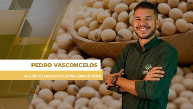 Soja em Chicago, prêmio e dólar em queda nesta 5ª feira pesam sobre preços e novos negócios no Brasil