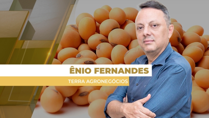 Mercado vai demandar ainda muita soja do Brasil e produtor precisa estar bem posicionado