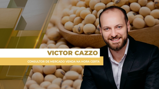 Preços da soja ao produtor brasileiro têm semana positiva e estimulam avanço dos negócios