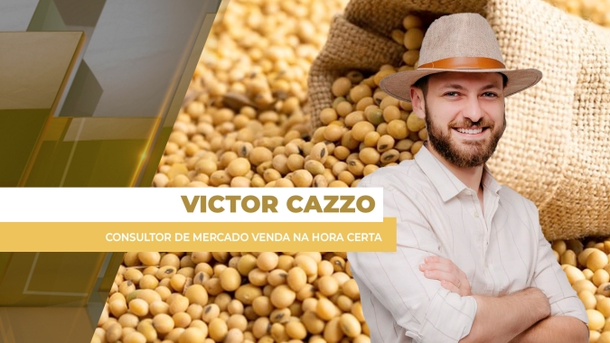 Semana termina com principais compradores de soja do Brasil fora do mercado e preços pressionados