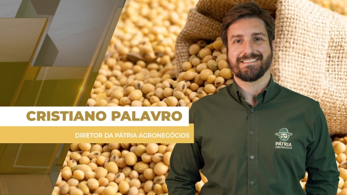 Prêmios da soja estão até 11% mais altos do que em 2025 e ajudam a equilibrar preços para o produtor brasileiro