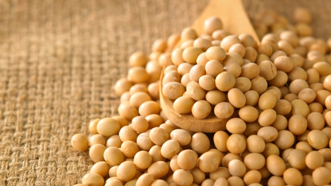 DATAGRO estima produção de 181,84 mi de t de soja na América do Sul na safra 2021/22