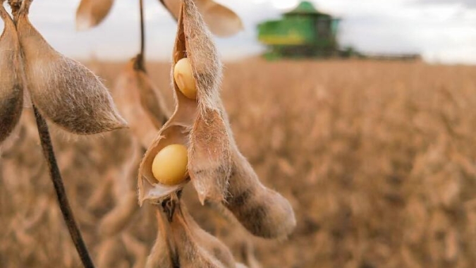 BrasilAgro fecha parceria com TIM para levar 4G a mais de 45 mil hectares no Maranhão
