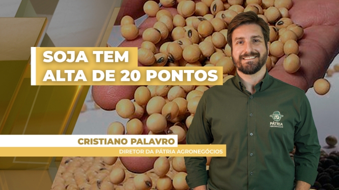 Alta do óleo e vendas fortes nos EUA  impulsionam soja na Bolsa de Chicago