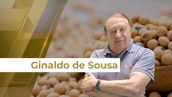 Dólar testando os R$ 6,10 motiva aumento dos negócios com a soja no mercado brasileiro