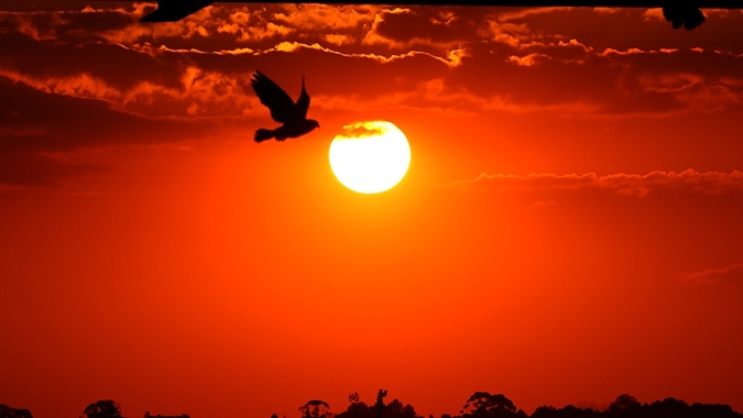 Chuvas perdem força e temperaturas seguem altas em março no Paraná, prevê Simepar