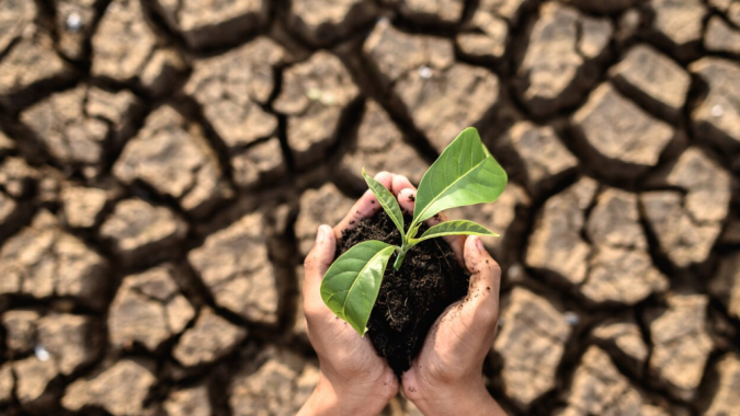 Conservação do solo e sua importância para preservar a vida no planeta, por Valter Casarin