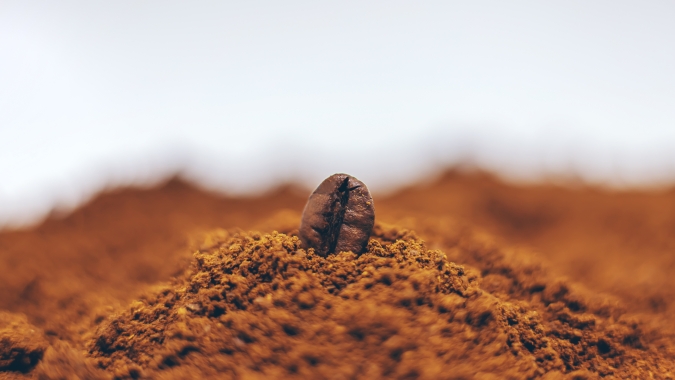 Solo forte, café valorizado: Produtividade, qualidade e resiliência dos cafezais