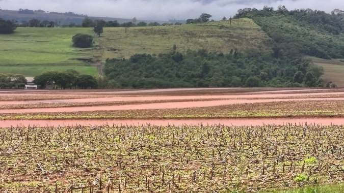 Paraná deve ter trégua da chuva no fim de semana após dias de temporais e solo encharcado