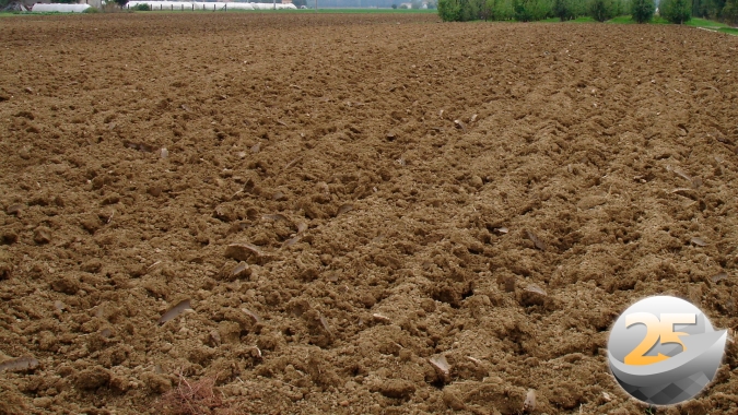 Seca persiste no Oeste do Paraná e produtor de Dr.Camargo opta por não plantar safrinha de milho