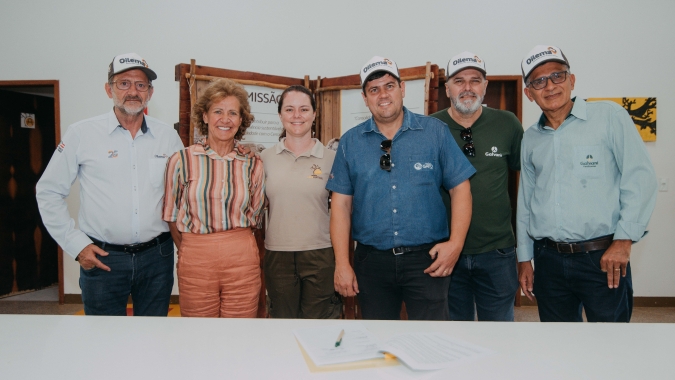 Reabilitação de lobos-guarás: Sementes Oilema e Parque Vida Cerrado lançaram 2ª edição do projeto, com transferência de uma fêmea