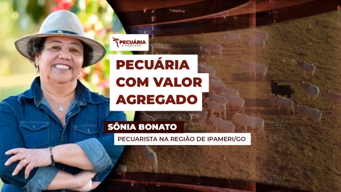 Pecuarista de Goiás adota ILPF e consolida pecuária sustentável na propriedade