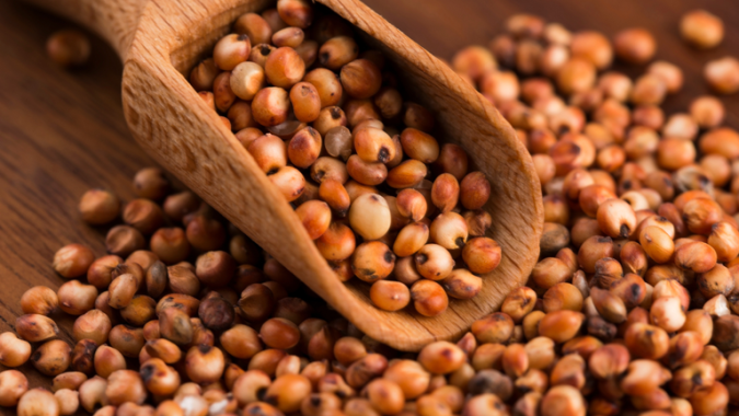 Brasil habilita primeiros estabelecimentos para exportação de DDGs e sorgo à China