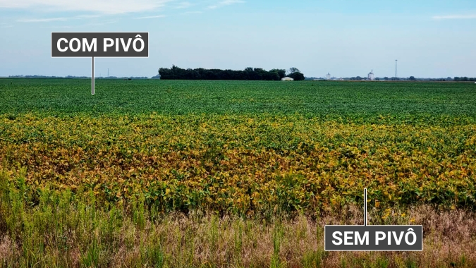 Crop Tour EUA-Canadá 2022: Lavouras em Nebraska se diferenciam pelas áreas com e sem irrigação e ainda assim perdas são evidentes